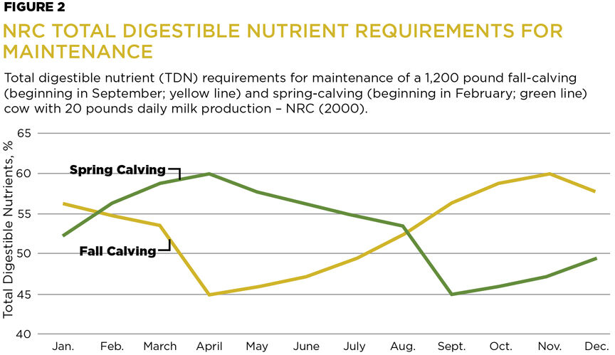 Figure2.jpg